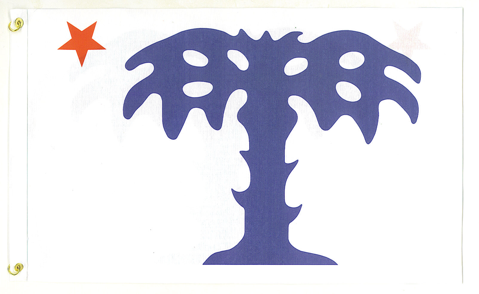 Confederate: Palmetto Guard Flag