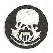 "Assassin’s Creed" Patch, Type 2
