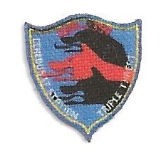 "Babylon 5" Cerebus Squadron Patch
