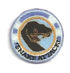 "Babylon 5" Snake Attack Squadron Patch