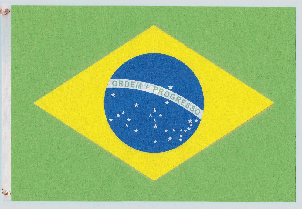 Brazilian Flag