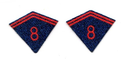 WWI French 8eme R�giment de Cuirassiers Collar Tabs