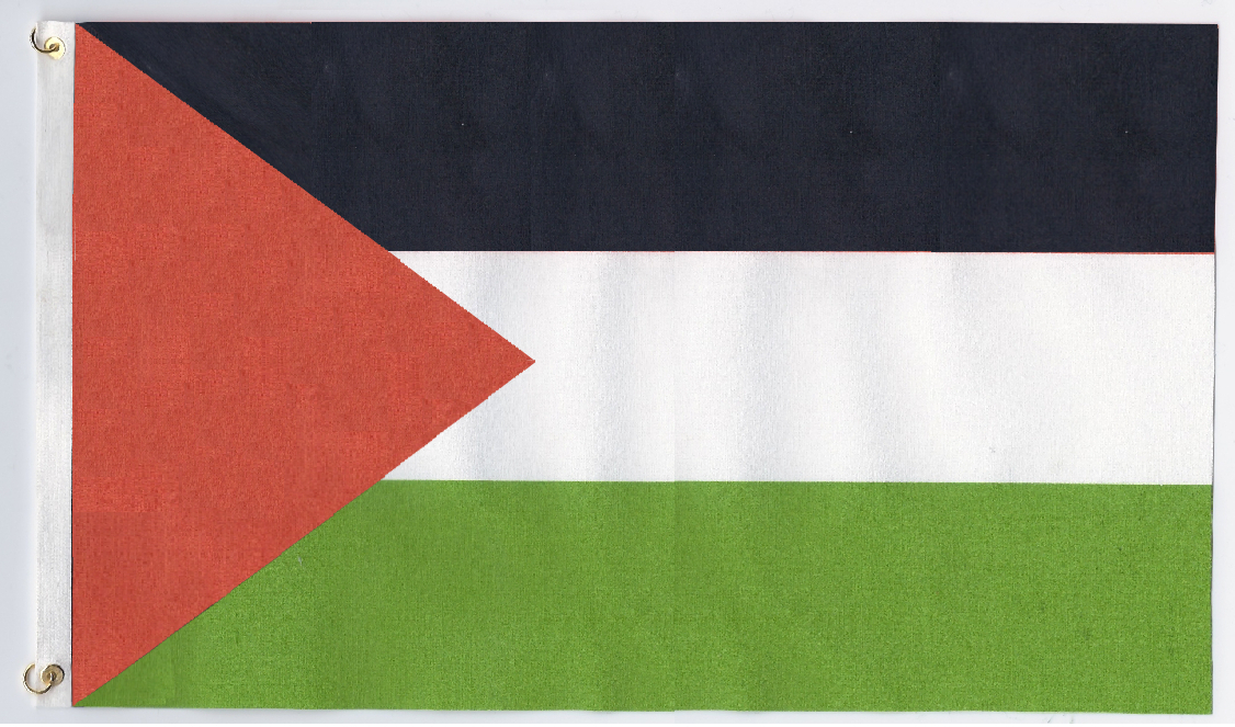 Palestinian Flag