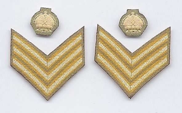 WWII British Royal Army Rank Chevron Set 4a: Regimenta