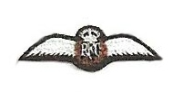 WWI British Royal Flying Corps (RFC) Wings Patch