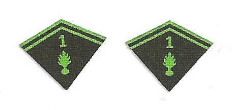 WWI French 1st Reg Etranger de Cavalerie Collar Tab
