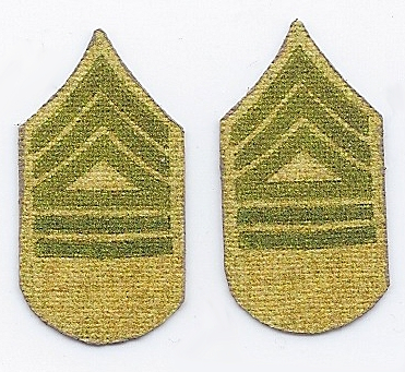 WWI US Regimental Supply Sergeant Rank Chevron Set
