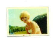 Vietnam era Sweetheart Photo – full color/blonde