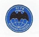 Russian Army Spetsnaz Reconnaissance Intelligence Bat Patch