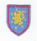 East German 14th Panzer Brigade Sleeve Patch, Full-Color